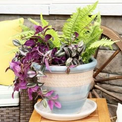 Sunnydaze Decor 2 Sunnydaze 9 in. Pearl Ceramic Planter Saucers -Sunnydaze Decor Sales sunnydaze decor planter saucers ap 014 44 1000