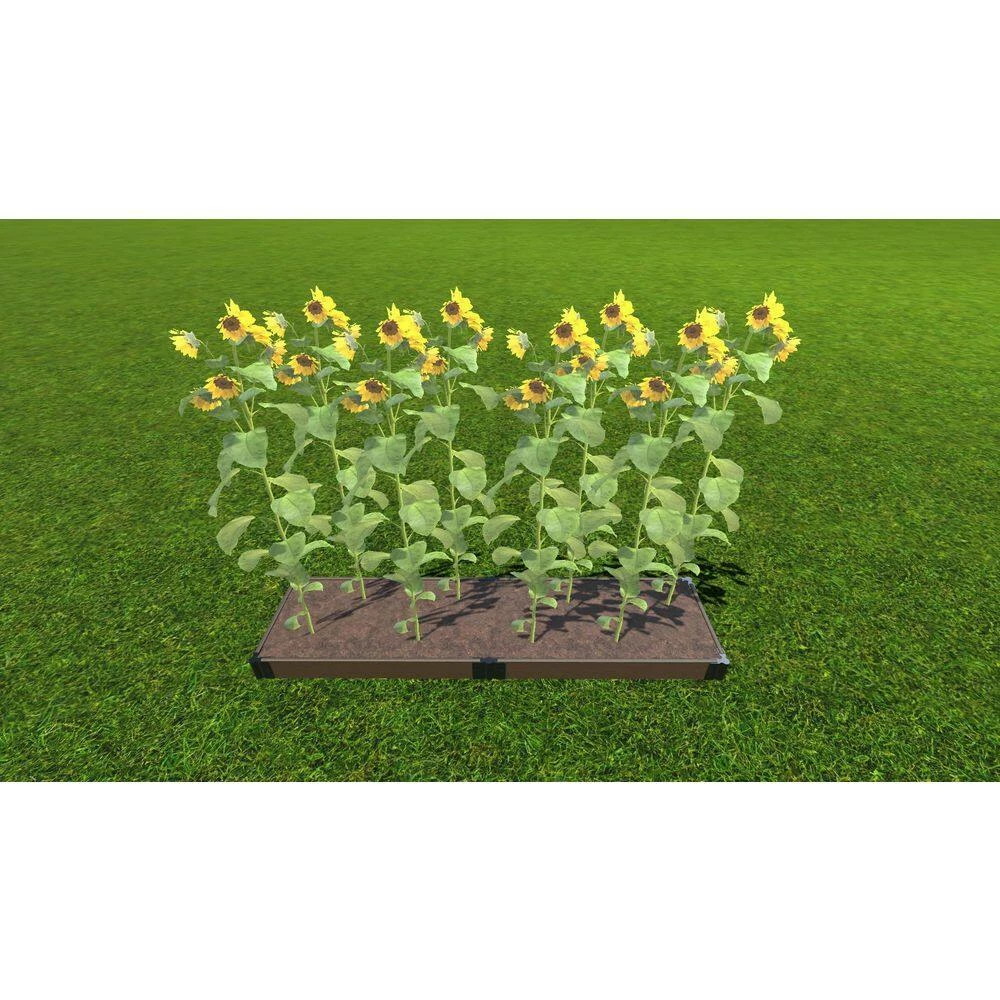 Frame It All 2 ft. x 8 ft. x 5.5 in. 1 in. Profile Uptown Brown Composite Raised Garden Bed 2 Frame It All 2 ft. x 8 ft. x 5.5 in. 1 in. Profile Uptown Brown Composite Raised Garden Bed - Image 2