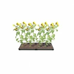 Frame It All Weathered Wood 2 ft. x 8 ft. x 5.5 in. Composite Raised Garden Bed - 1 in. Profile